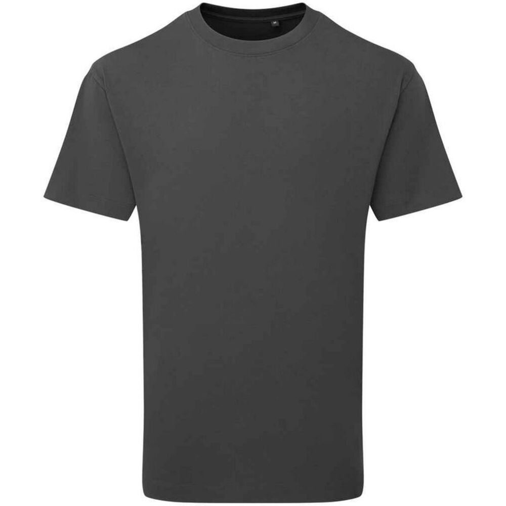 Anthem Unisex Adult Heavyweight T-Shirt / Carbon